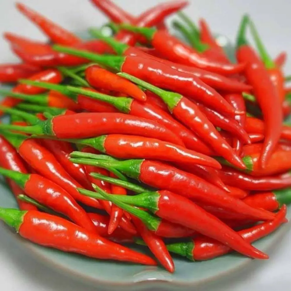 Fresh Chili Peppers - Nutrient-Rich Spice for Flavor Enhancement | Packed with Vitamins, Protein & Fiber for Healthy Dishes 4