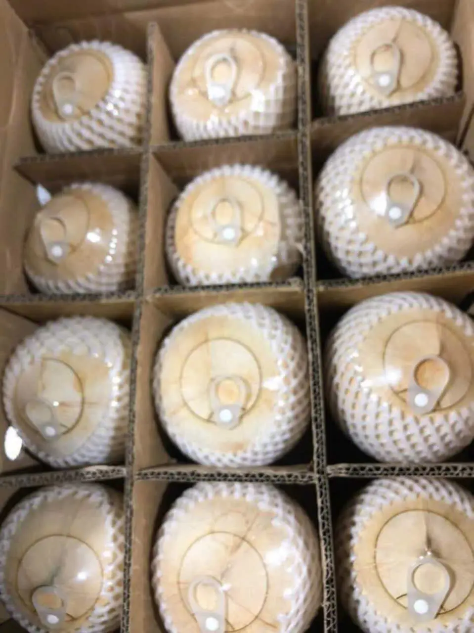 FRESH COCONUT EASY TO OPEN COCONUT HIGH QUALITY COCONUT FROM VIETNAM FRESH FLAVOR 3