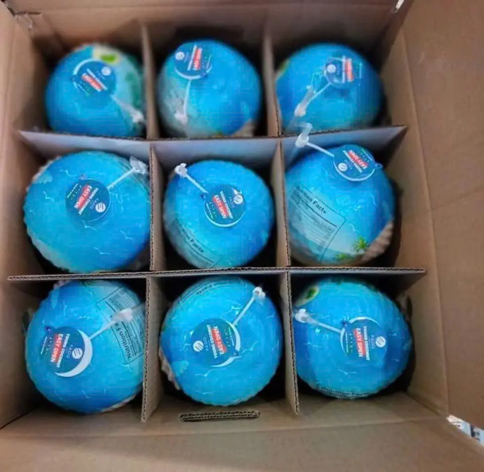 FRESH COCONUT EASY TO OPEN COCONUT HIGH QUALITY COCONUT FROM VIETNAM FRESH FLAVOR 1
