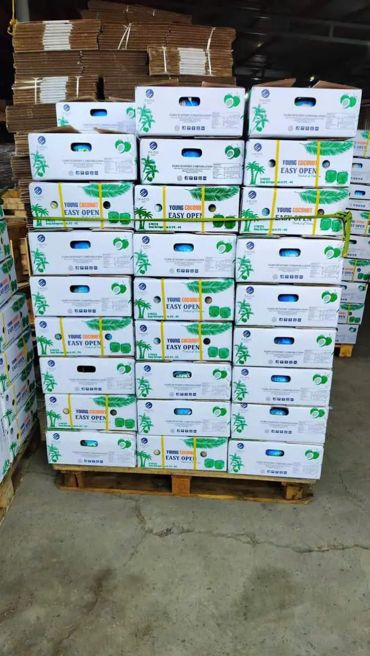 FRESH COCONUT EASY TO OPEN COCONUT HIGH QUALITY COCONUT FROM VIETNAM FRESH FLAVOR 5