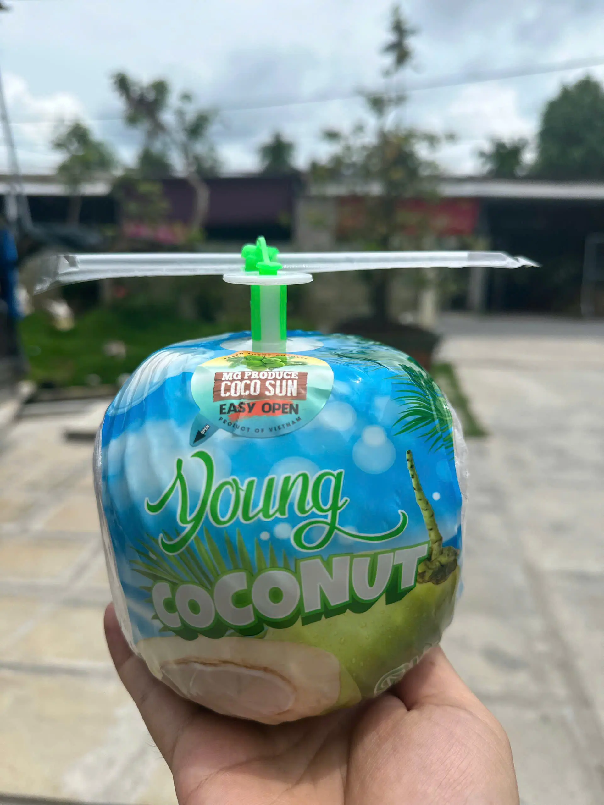 FRESH COCONUT EASY TO OPEN COCONUT HIGH QUALITY COCONUT FROM VIETNAM FRESH FLAVOR 6