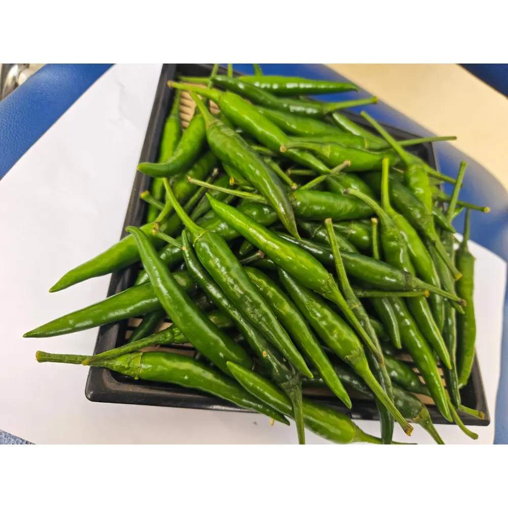 Fresh Premium Food Grade Green Chili From Vietnam Best Trade Most Chili Spicy Chili 4