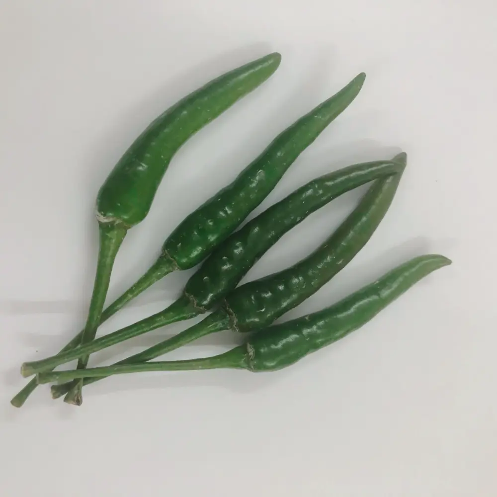 Fresh Premium Food Grade Green Chili From Vietnam Best Trade Most Chili Spicy Chili 6
