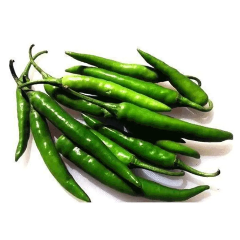 Fresh Premium Food Grade Green Chili From Vietnam Best Trade Most Chili Spicy Chili 5