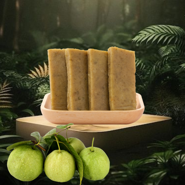 Good Taste Nonglamfood Dried Guava Bar Organic Fast Delivery Dried Fruits Wholesale Gourmet OEM Service Made In Vietnam 5