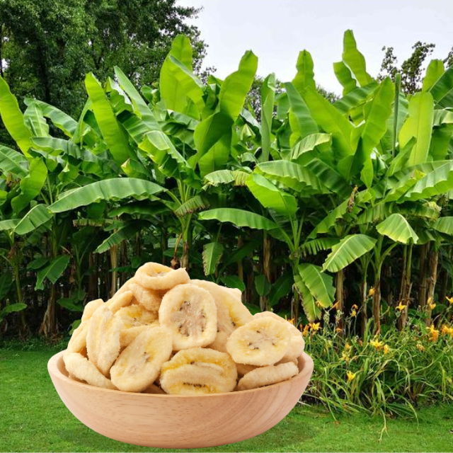 Gourmet Crispy Dried Fruits Banana Top Choice Nonglamfood Organic Dried Fruits Wholesale Best Seller OEM Service Made In Vietnam 3
