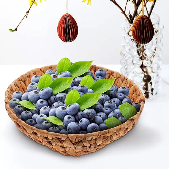 Hand-woven baskets made of rattan, bamboo, water hyacinth, and seagrass for bread, fruit, fashion items, and table decoration 3