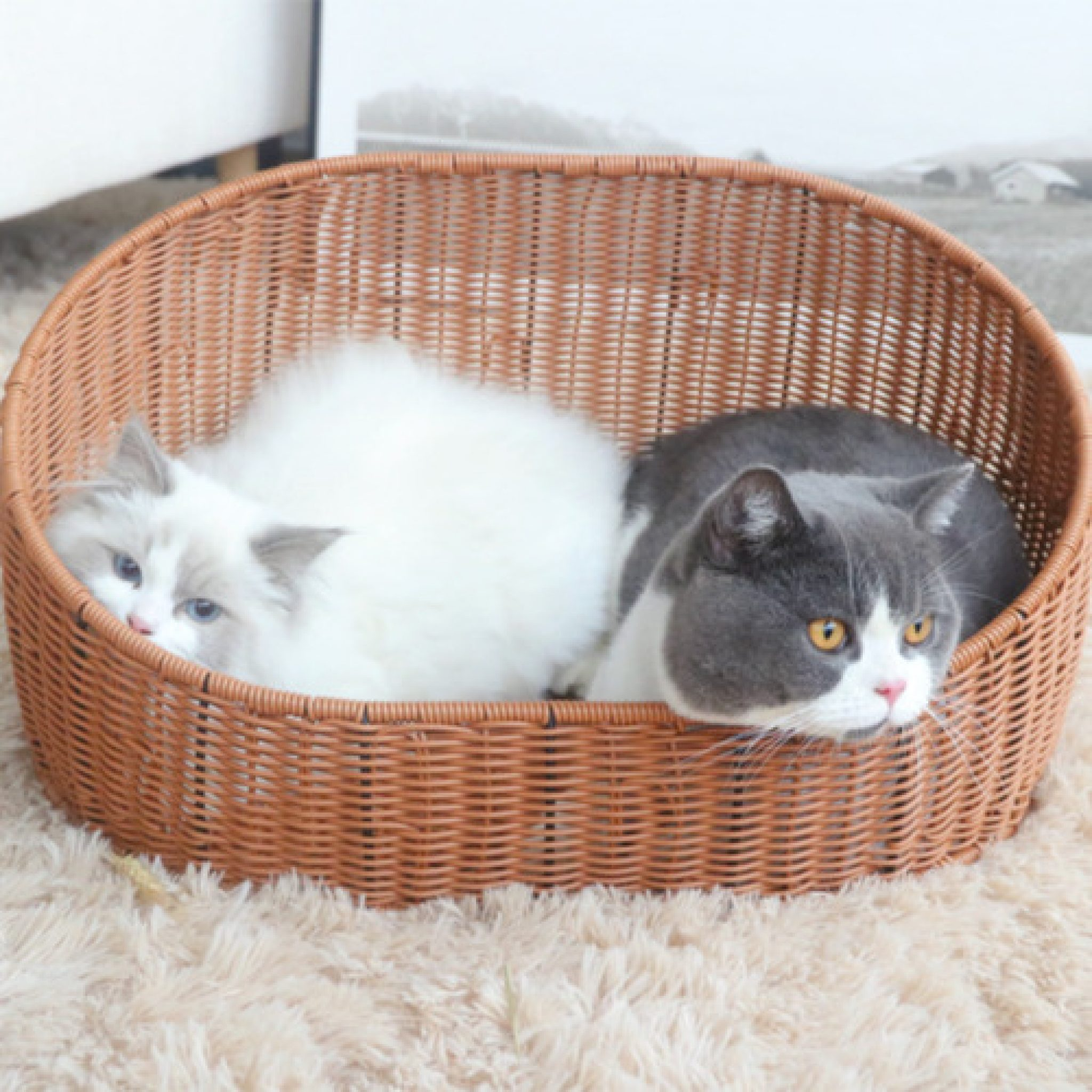 Handmade Natural Rattan Round Pet House, Pet accessories made from natural materials and stylish home decoration, Wholesale. 5