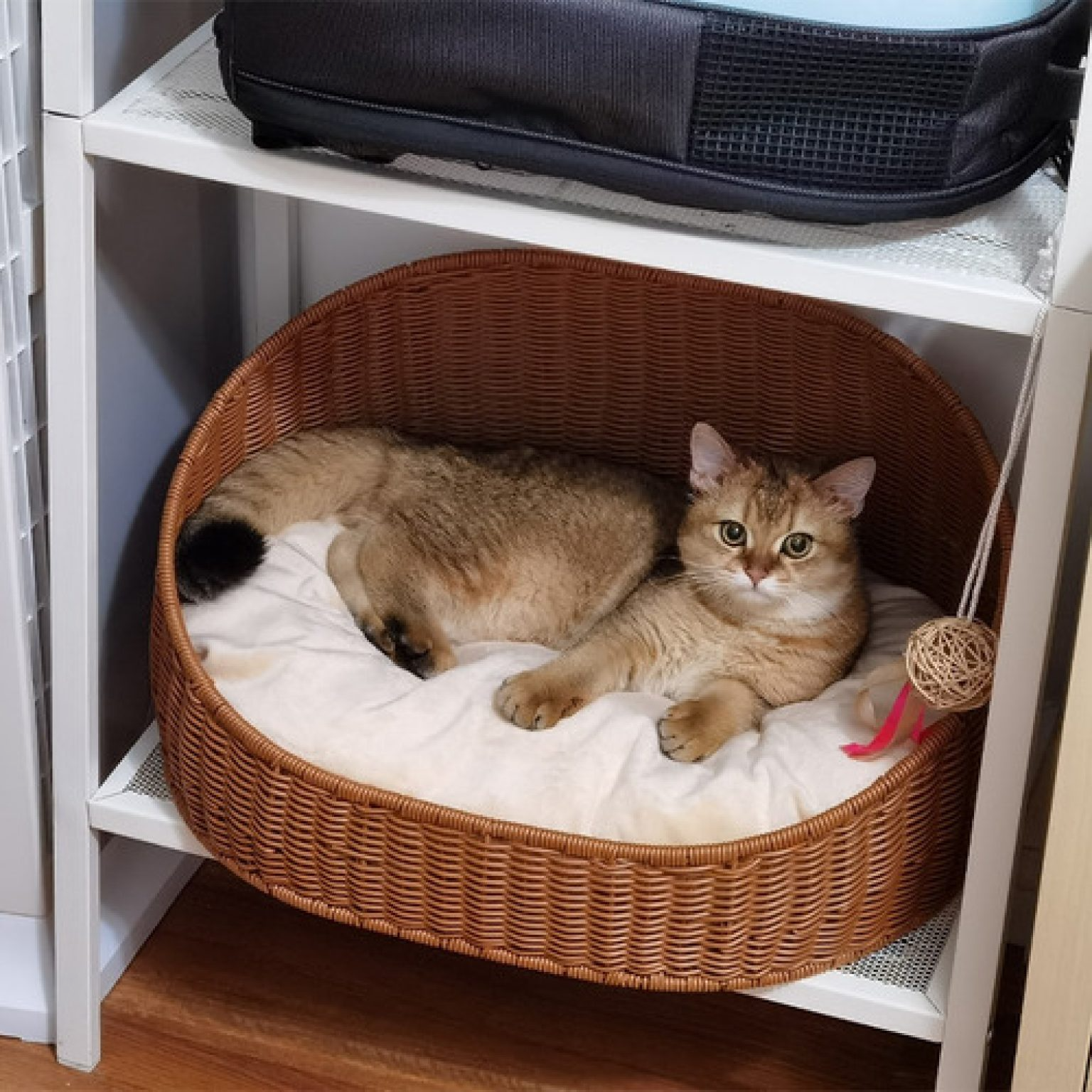 Handmade Natural Rattan Round Pet House, Pet accessories made from natural materials and stylish home decoration, Wholesale. 6