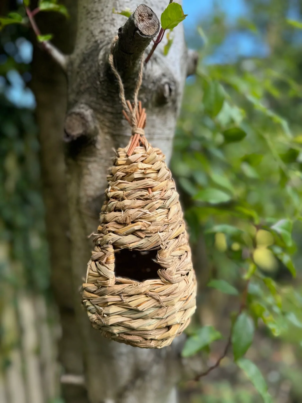 Handmade teardrop weave rattan birdhouse, Pet accessories made from natural materials and stylish home decoration, Wholesale. 3