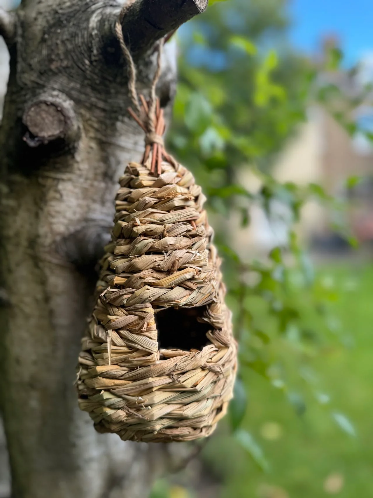 Handmade teardrop weave rattan birdhouse, Pet accessories made from natural materials and stylish home decoration, Wholesale. 2