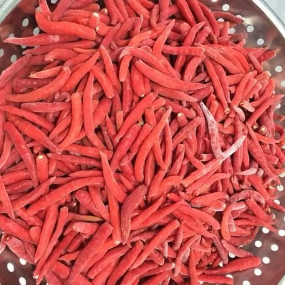 High Quality Frozen Red Chili from Vietnam Hot Selling Single Spices & Herbs Exported Worldwide 6
