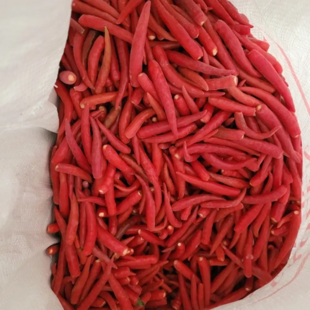 High Quality Frozen Red Chili from Vietnam Hot Selling Single Spices & Herbs Exported Worldwide 5