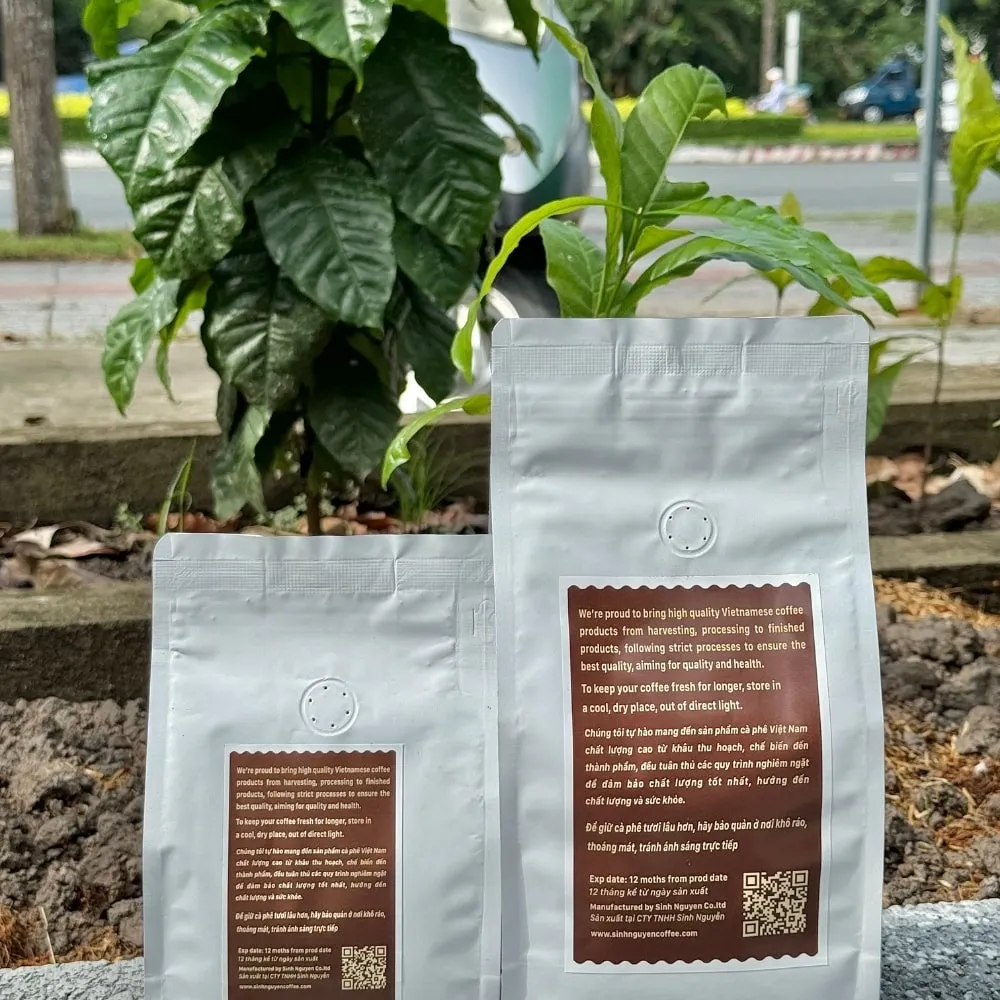High Quality Vietnam Specialty Bee Pollen Coffee Beans Wholesale Bulk 1kg Specialty Arabica Direct From Farmer Best Taste Guarantee By Vietnamese Roaster 4