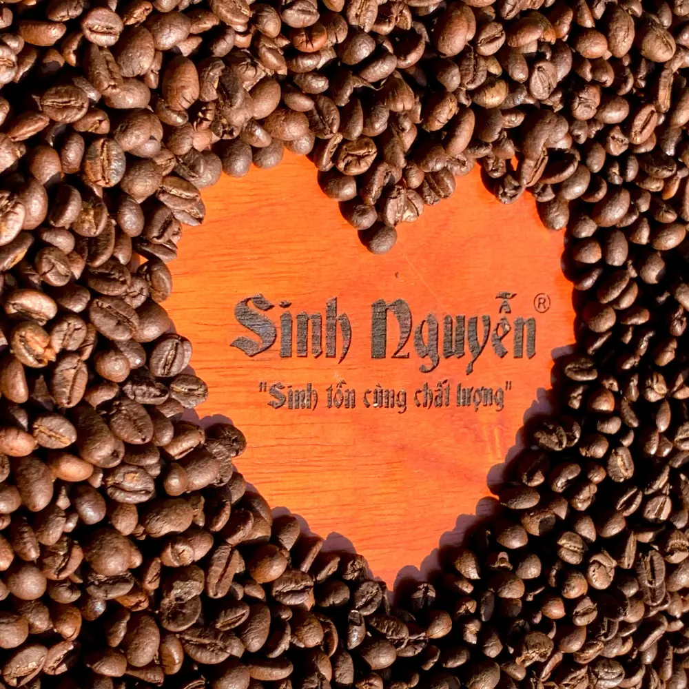 High Quality Vietnamese Coffee Beans For Wholesale Good Price Phin Coffee Chocolate Taste Customization Vietnam Manufacturer 6