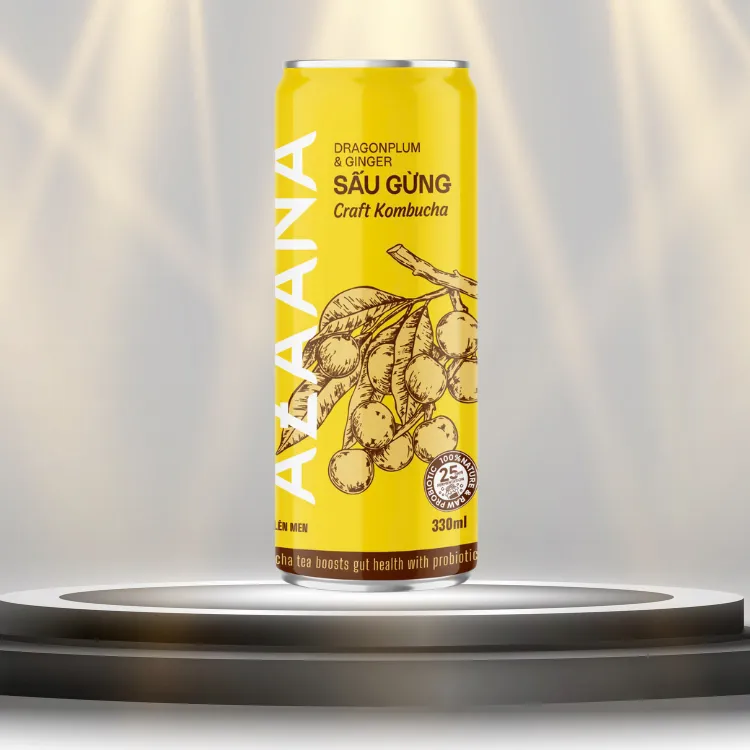Kombucha Good Price Vietnamese Sau Fruit And Ginger Sources Of Natural Non-Alcoholic Oem Soft Drink Vietnam Manufacturer 3