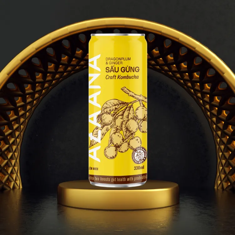 Kombucha Good Price Vietnamese Sau Fruit And Ginger Sources Of Natural Non-Alcoholic Oem Soft Drink Vietnam Manufacturer 5