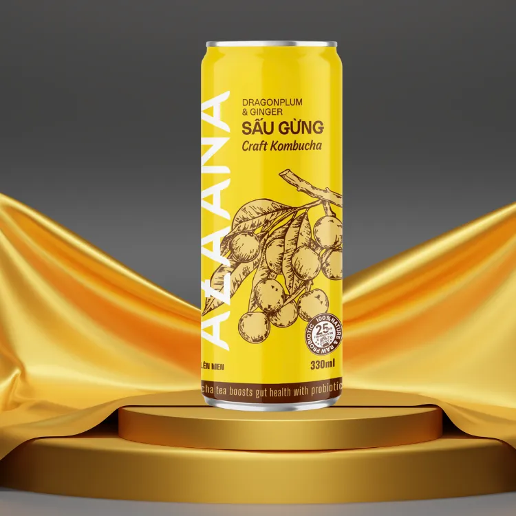 Kombucha Good Price Vietnamese Sau Fruit And Ginger Sources Of Natural Non-Alcoholic Oem Soft Drink Vietnam Manufacturer 4