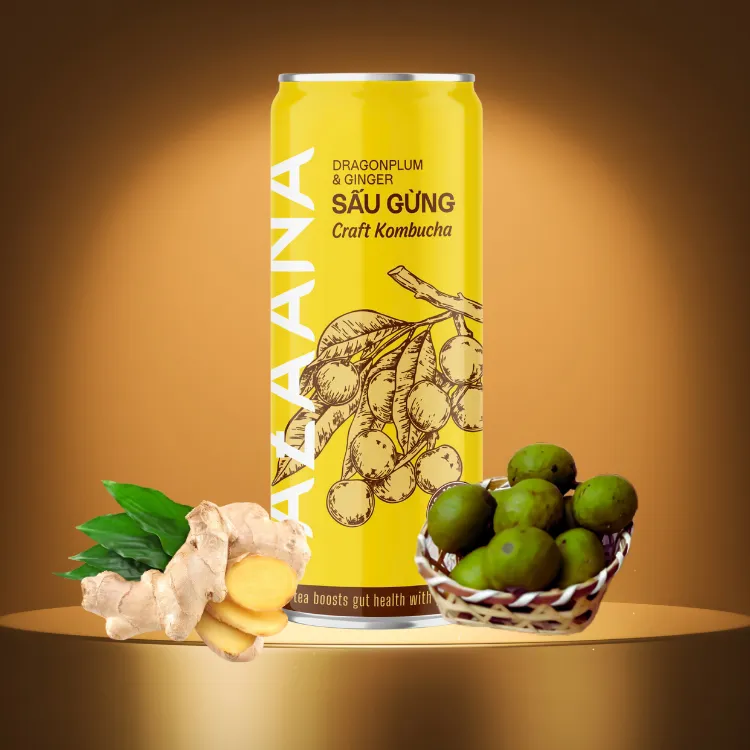 Kombucha Good Price Vietnamese Sau Fruit And Ginger Sources Of Natural Non-Alcoholic Oem Soft Drink Vietnam Manufacturer 2