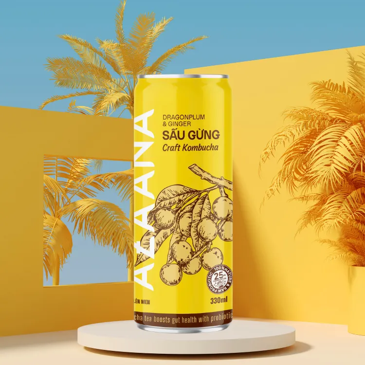 Kombucha Good Price Vietnamese Sau Fruit And Ginger Sources Of Natural Non-Alcoholic Oem Soft Drink Vietnam Manufacturer 6