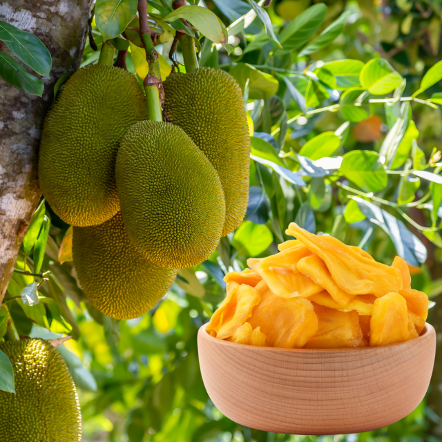 Organic Soft Dried Jackfruit Nonglamfood Dried Fruit Machines Sweet Taste OEM Service Vietnam Manufacturer Fast Delivery 4