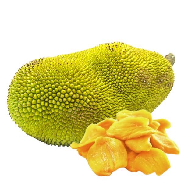 Organic Soft Dried Jackfruit Nonglamfood Dried Fruit Machines Sweet Taste OEM Service Vietnam Manufacturer Fast Delivery 6