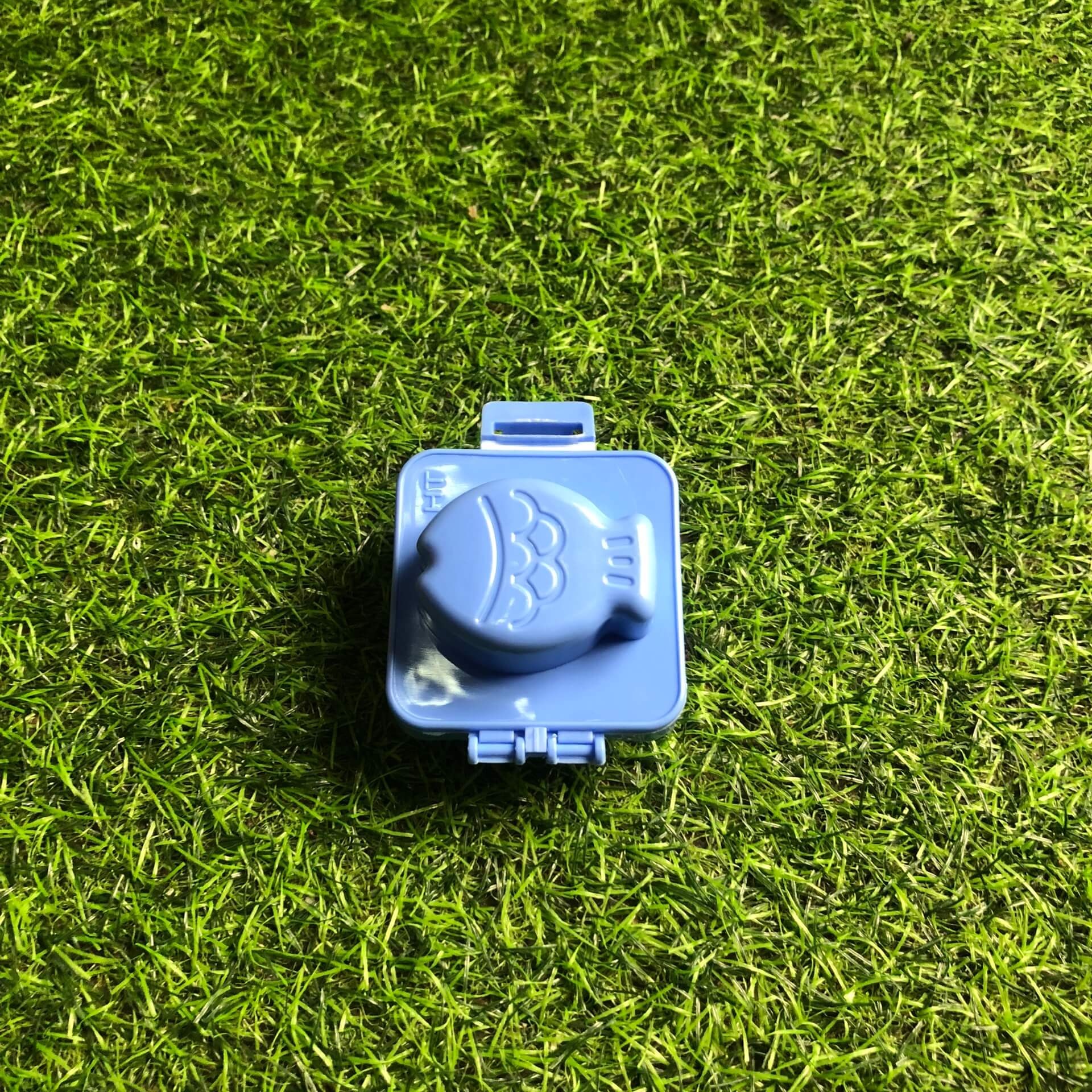 plastic fish bento box wholesale cheap in vietnam 3