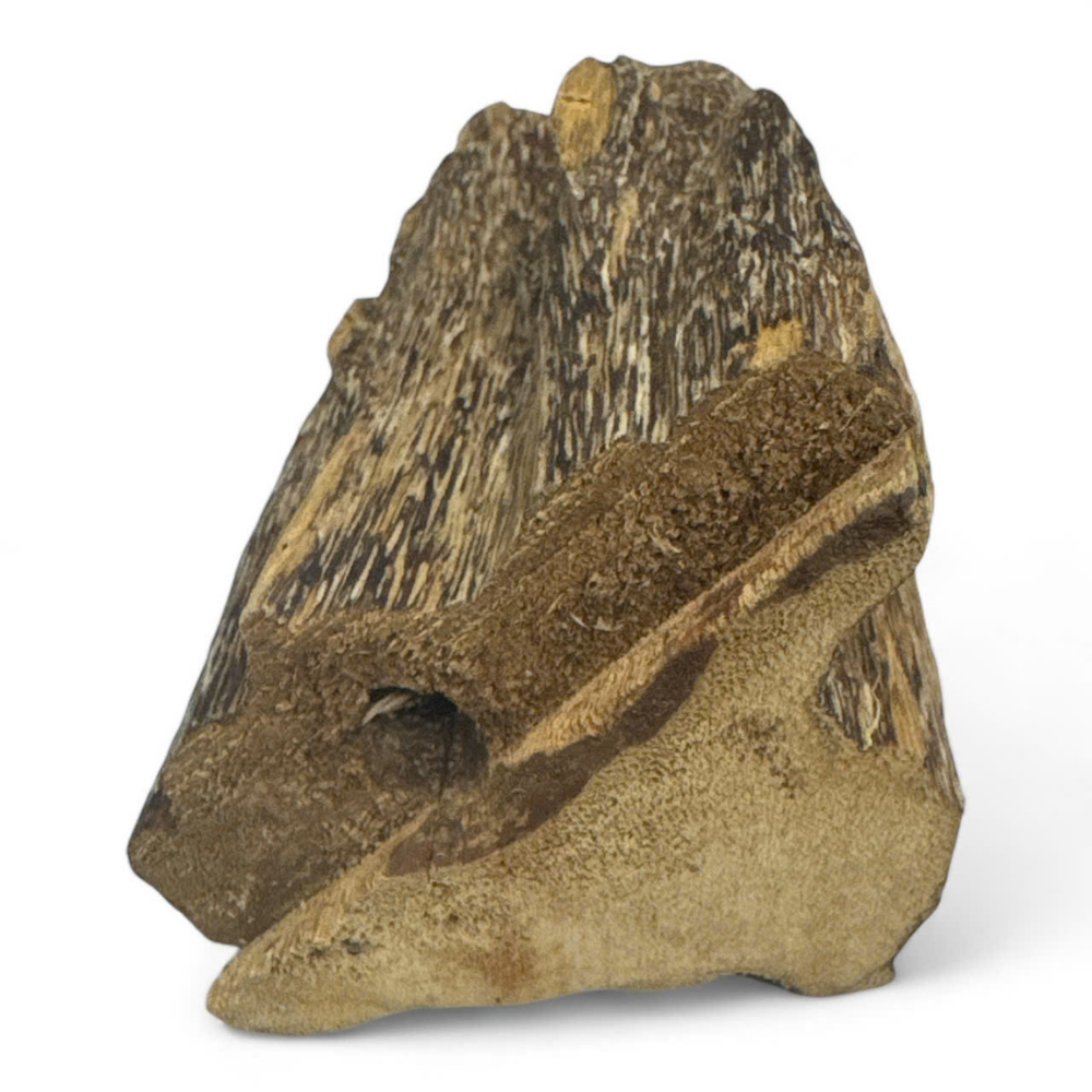 Premium Natural Vietnam Raw Agarwood Chips Type II 100% Natural Healing Customization Made In Vietnam Manufacturer Factory Price 3