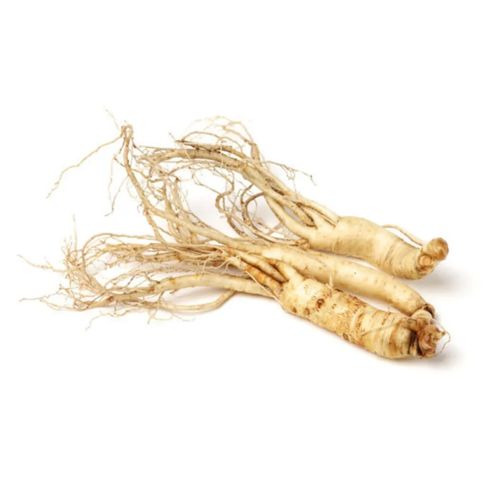 Premium Quality Wholesale Natural Organic Wild Ginseng Root From Vietnam Manufacturer Dried Extract Whole Ginseng Root Plant 1