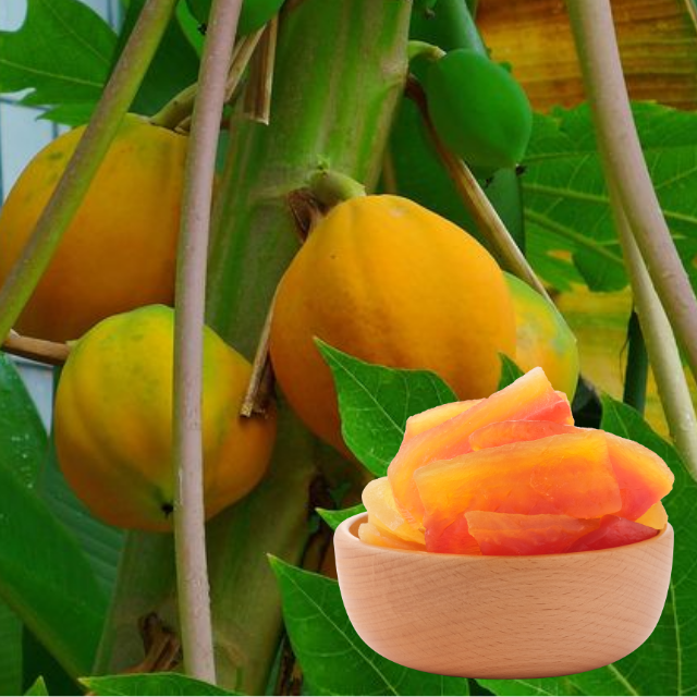 Soft Dried Papaya High Quality Sweet Taste Nonglamfood Organic Dried Fruit Machines OEM Service Vietnam Manufacturer 2