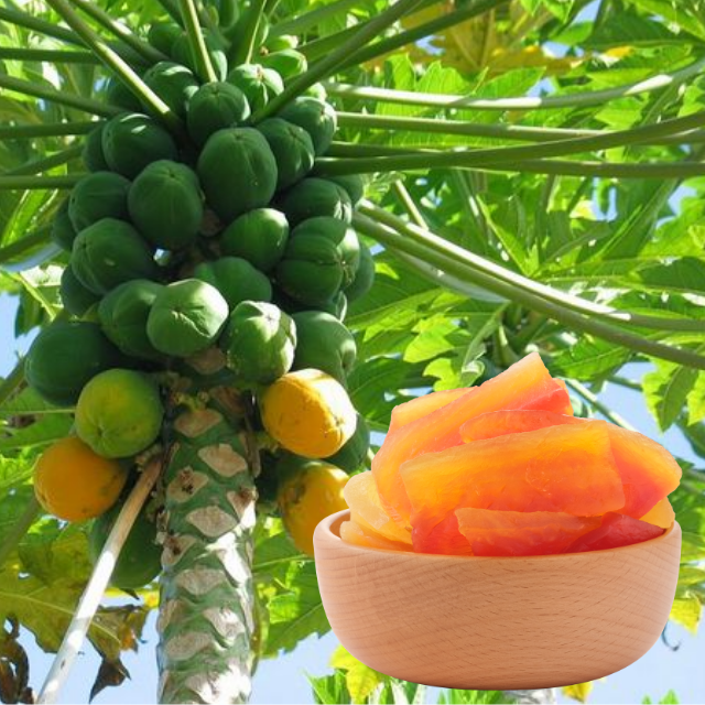 Soft Dried Papaya High Quality Sweet Taste Nonglamfood Organic Dried Fruit Machines OEM Service Vietnam Manufacturer 4