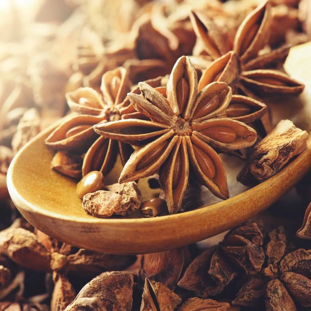 Superior Star Anise - High-Quality Spice for Culinary Uses | Distinct Flavor, Fragrant Aroma & Natural Wellness Properties 4