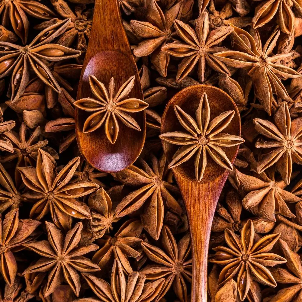 Superior Star Anise - High-Quality Spice for Culinary Uses | Distinct Flavor, Fragrant Aroma & Natural Wellness Properties 3