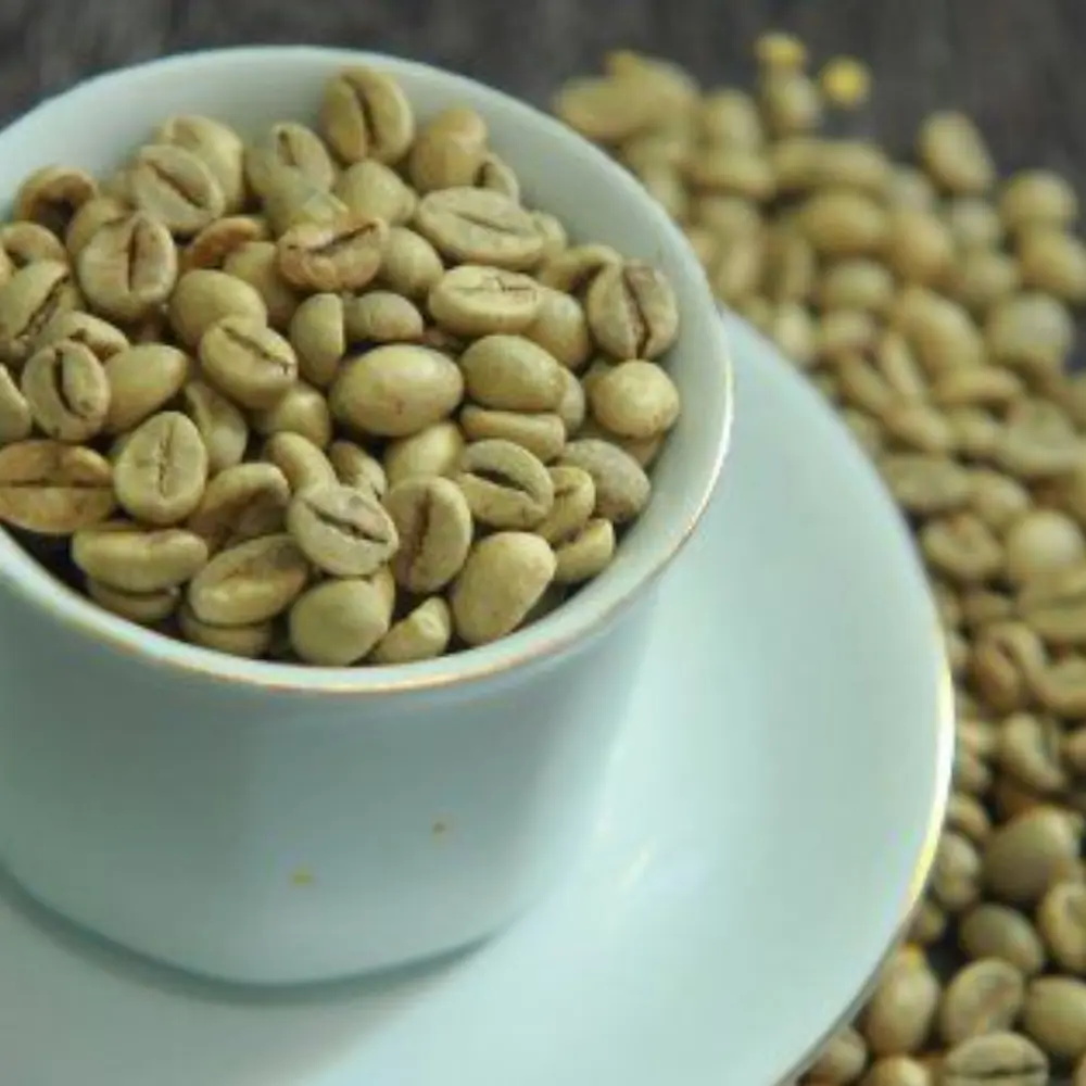 Top Choice Bulk Green Coffee Beans Organic Arabica Coffee Beans Wholesale Green Coffee OEM ODM Fast Delivery Made in Vietnam 5