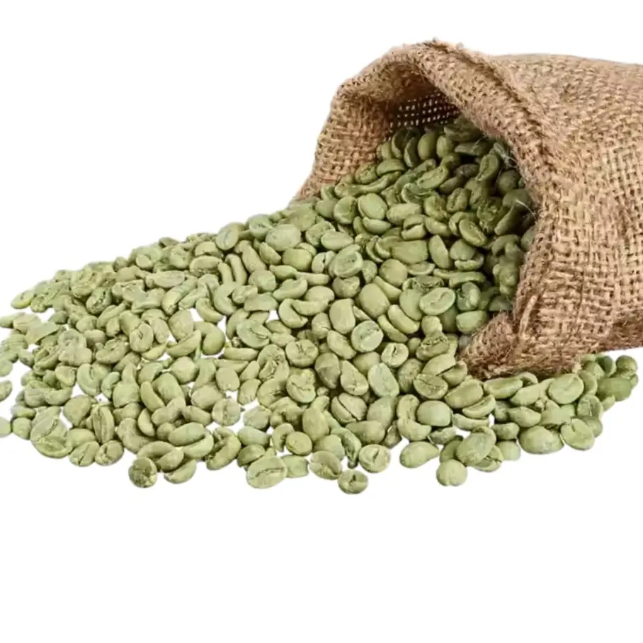 Top Choice Bulk Green Coffee Beans Organic Arabica Coffee Beans Wholesale Green Coffee OEM ODM Fast Delivery Made in Vietnam 1