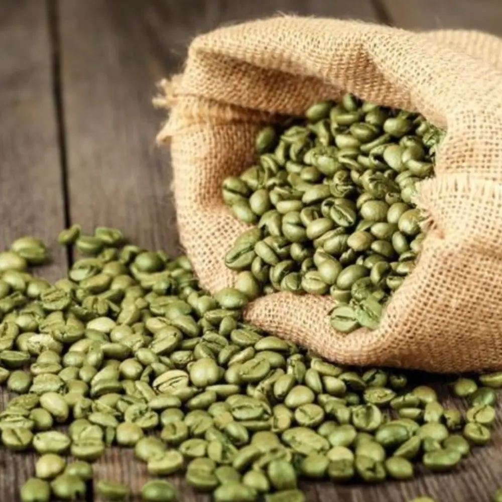 Top Choice Bulk Green Coffee Beans Organic Arabica Coffee Beans Wholesale Green Coffee OEM ODM Fast Delivery Made in Vietnam 6