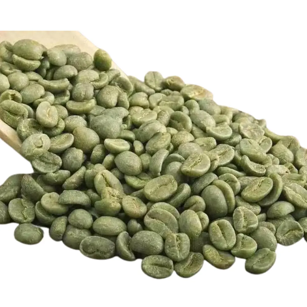 Top Choice Bulk Green Coffee Beans Organic Arabica Coffee Beans Wholesale Green Coffee OEM ODM Fast Delivery Made in Vietnam 2