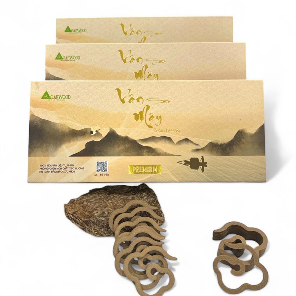 Top Seller Cloud Shape Agarwood Incense Cone For Wholesale Competitive Price 100% Natural OBM From Vietnam Manufacturer 5