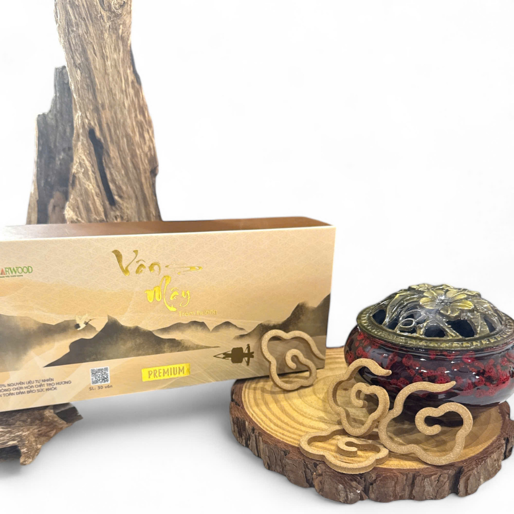 Top Seller Cloud Shape Agarwood Incense Cone For Wholesale Competitive Price 100% Natural OBM From Vietnam Manufacturer 2