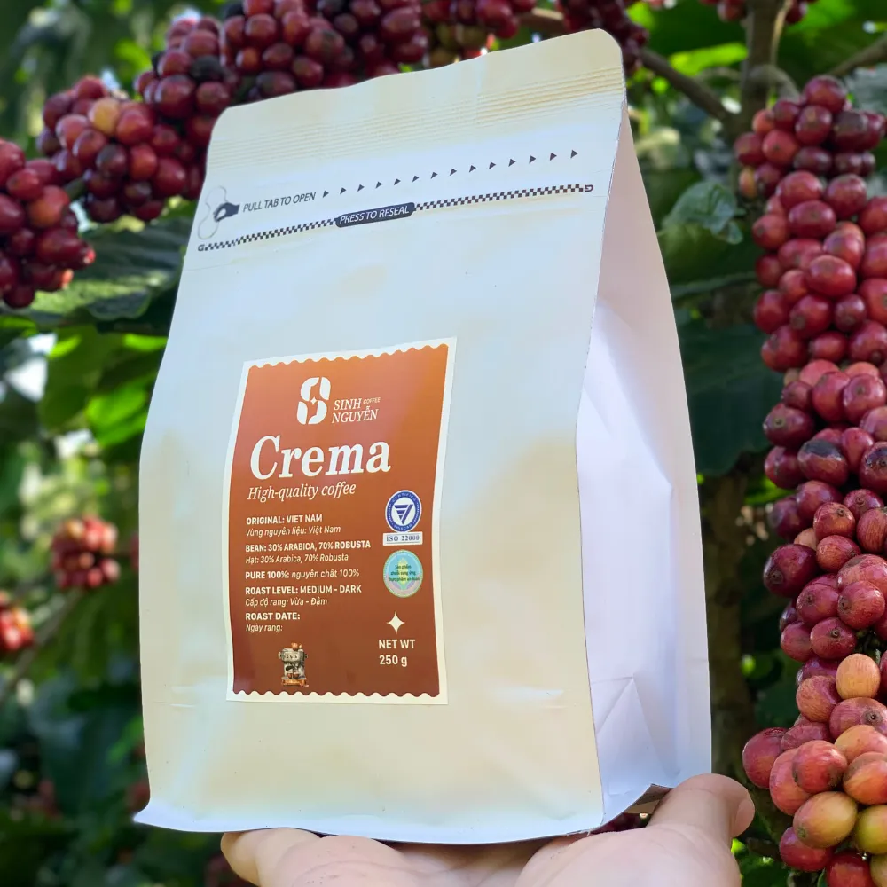 Top Seller Robusta Dark Roast Coffee From Vietnam Manufacturer OEM ODM Espresso Coffee Beans For Wholesale Competitive Price 6