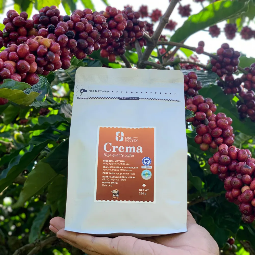 Top Seller Robusta Dark Roast Coffee From Vietnam Manufacturer OEM ODM Espresso Coffee Beans For Wholesale Competitive Price 7