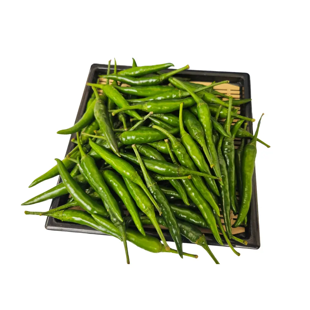 Top Vietnam Chili Manufacturer High Quality Fresh Green Chilli Pepper from Vietnam Spicy Herb Spice Ready to Export 5