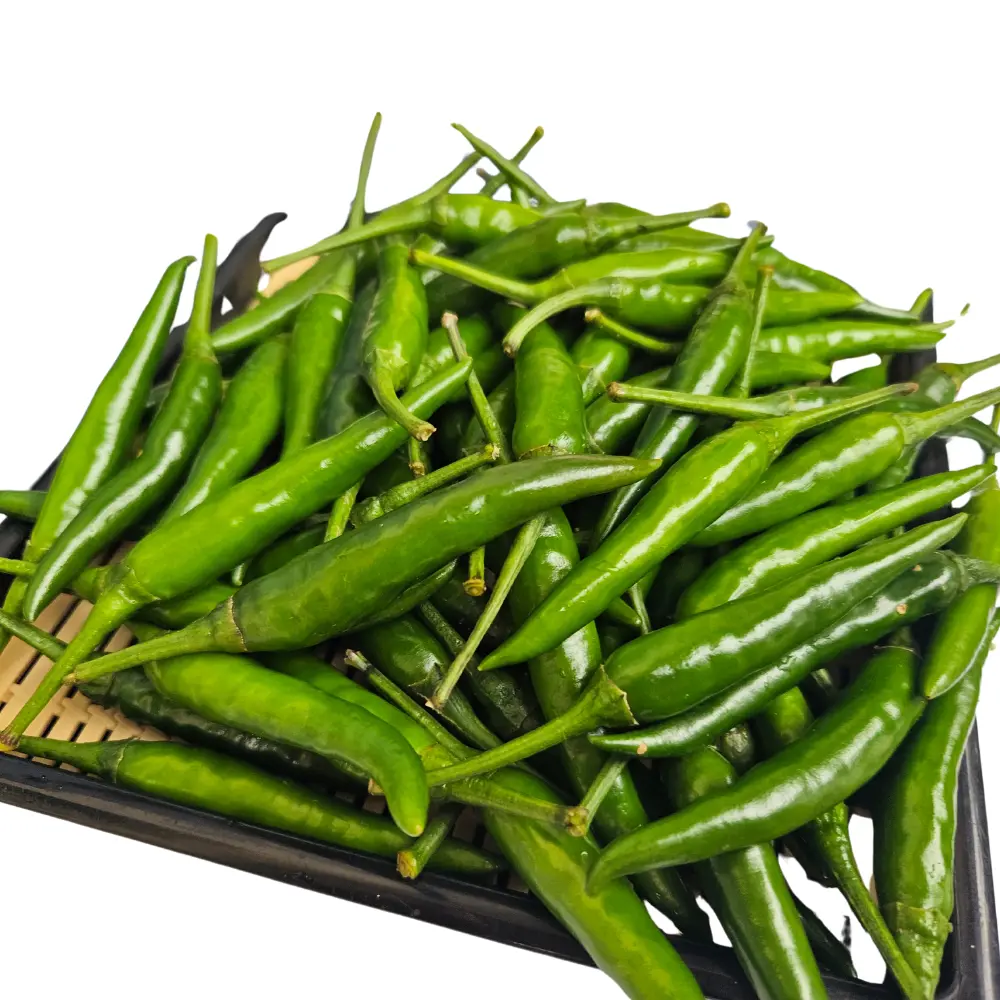 Top Vietnam Chili Manufacturer High Quality Fresh Green Chilli Pepper from Vietnam Spicy Herb Spice Ready to Export 6