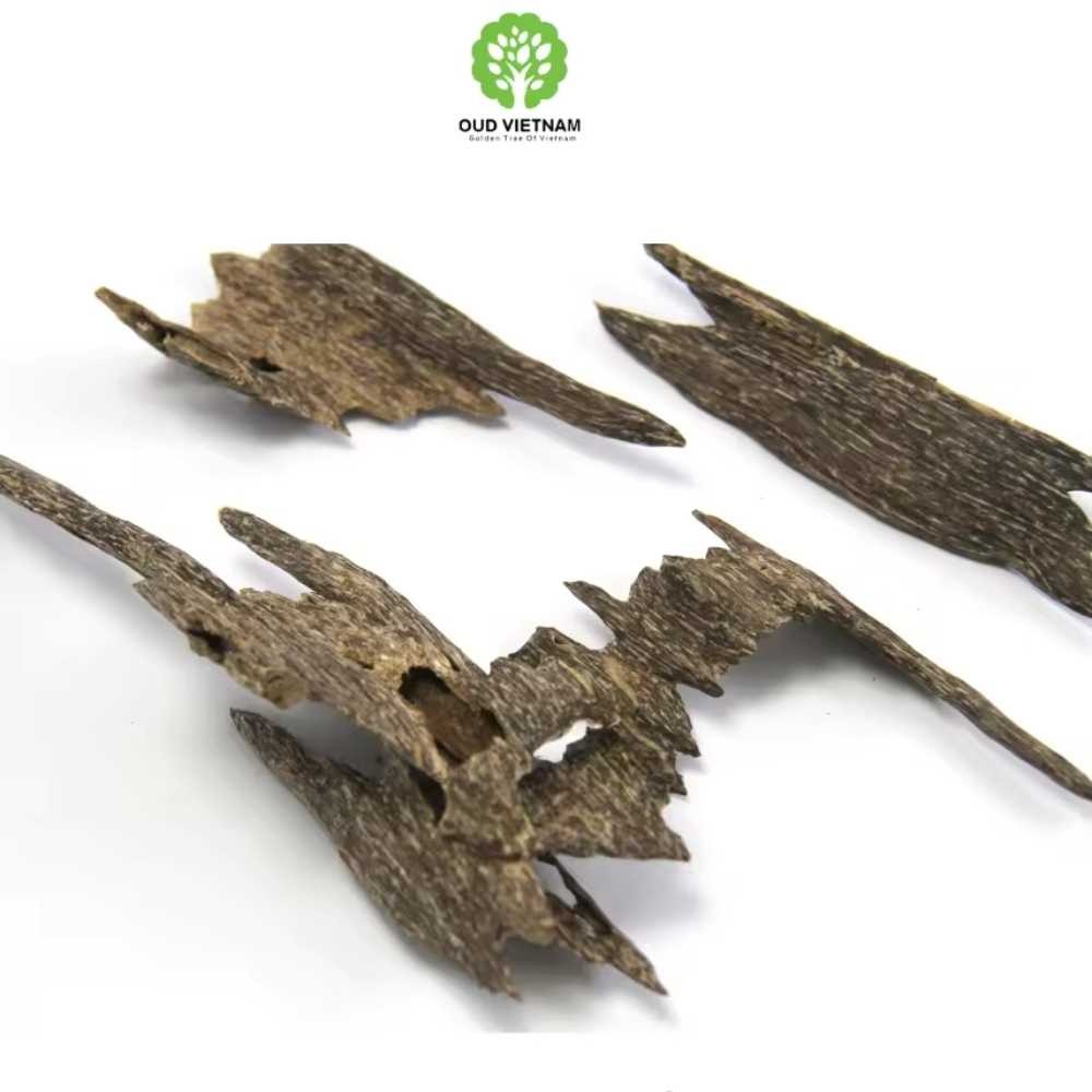 Natural Ant Oud Premium Agarwood Chips Super Grade Tripple A Resin Oudh Incense Fragrance Sweet Full Oil 2