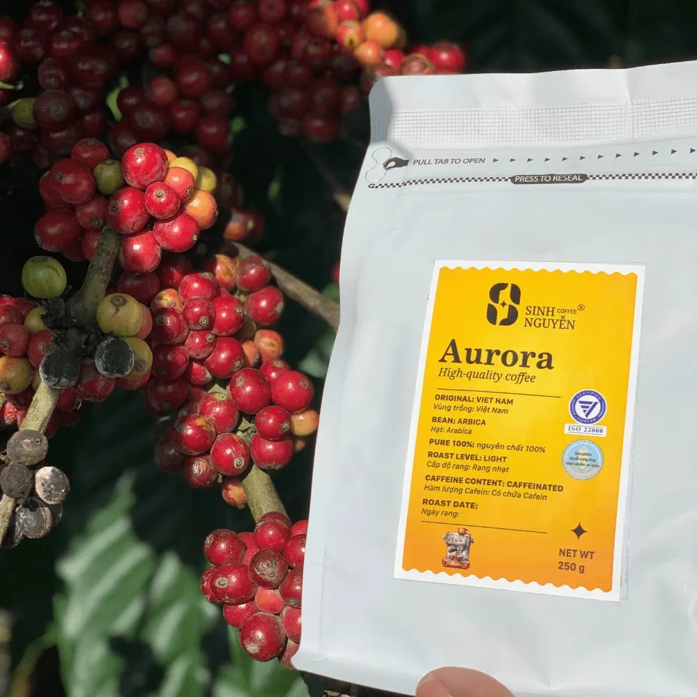 Vietnam Arabica Medium Roast Coffee Beans - Rich Flavor, Direct from Factory In Vietnam Best price 5