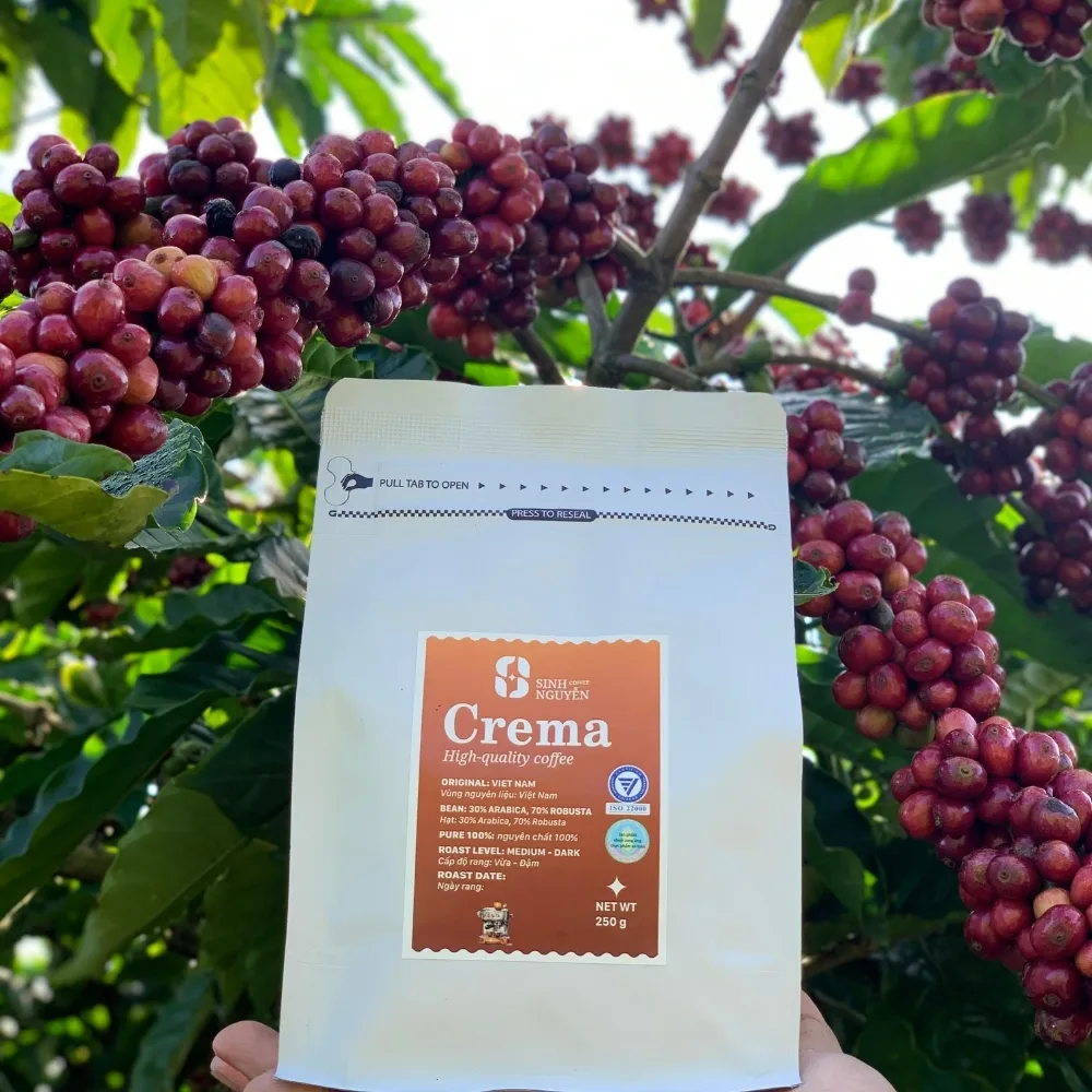 Wholesale Arabica Medium Roasted Coffee High Quality Coffee Chocolate Taste Made In Vietnam Manufacturer Factory Good Price  3