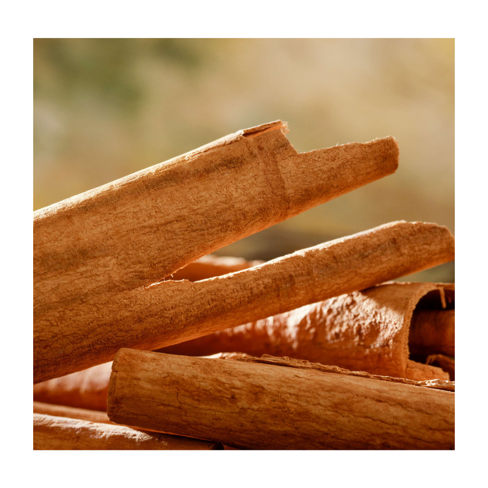 Wholesale Cinnamon Powder Vietnam Cinnamon Ceylon Roll Sanrio Soles Manufacture Competitive Price Cassia Stick Broken 5