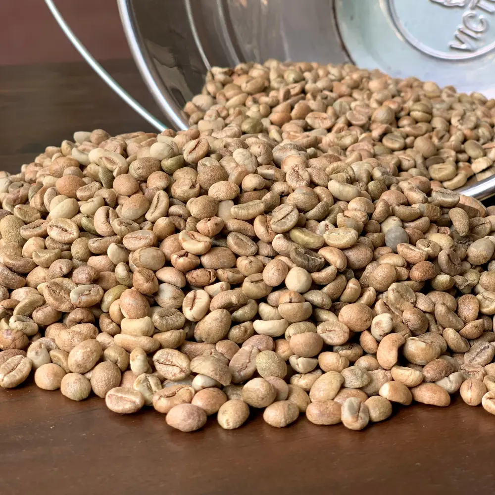 Wholesale Green Bean Coffee Factory Price Robusta Bean Filter Coffee Fruity Taste From Vietnamese Manufacturer 2