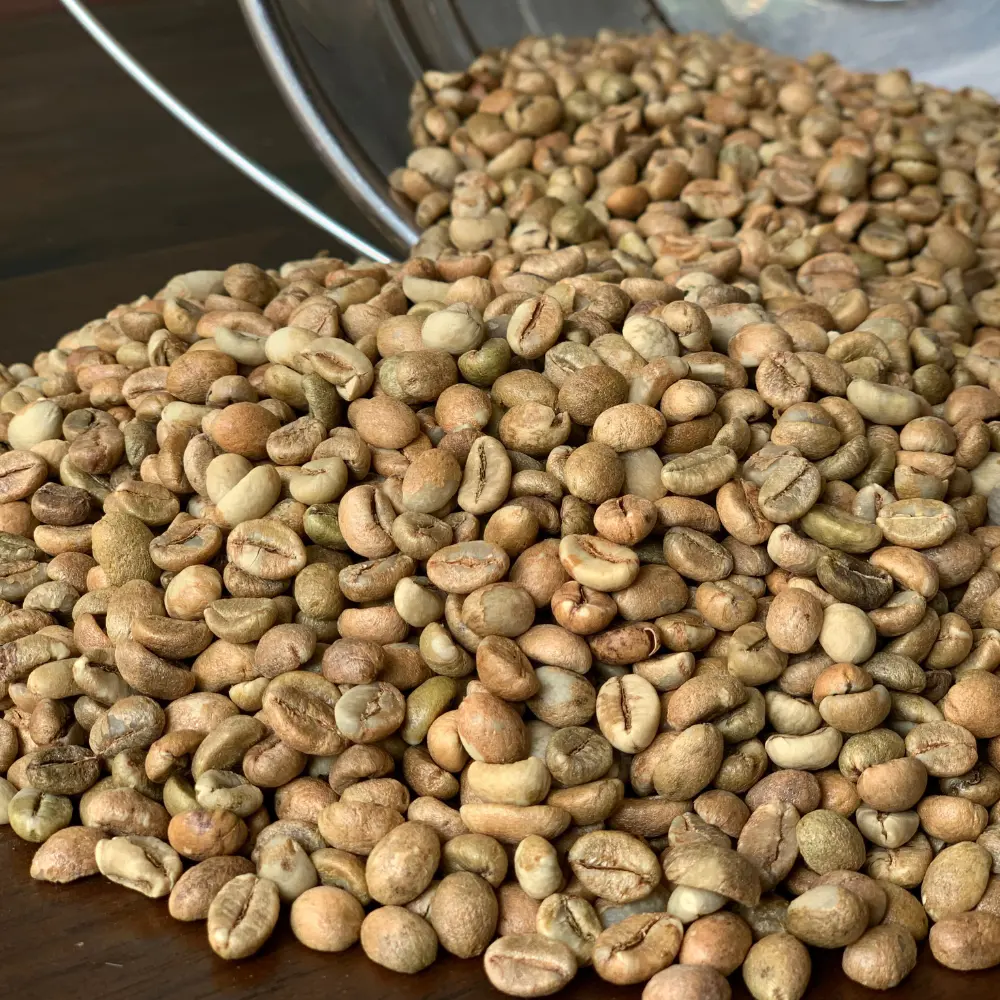 Wholesale Green Bean Coffee Factory Price Robusta Bean Filter Coffee Fruity Taste From Vietnamese Manufacturer 3