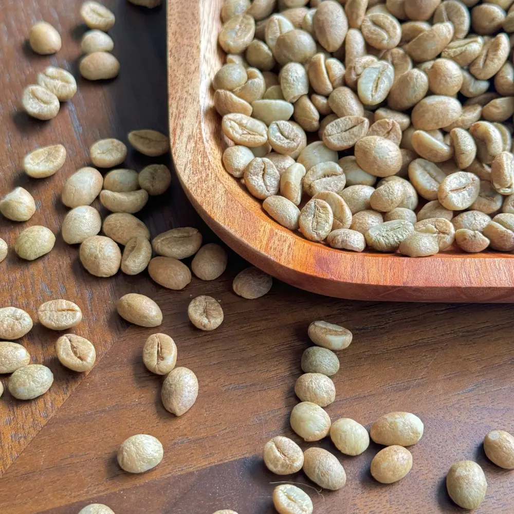 Wholesale Green Bean Coffee Factory Price Robusta Bean Filter Coffee Fruity Taste From Vietnamese Manufacturer 6